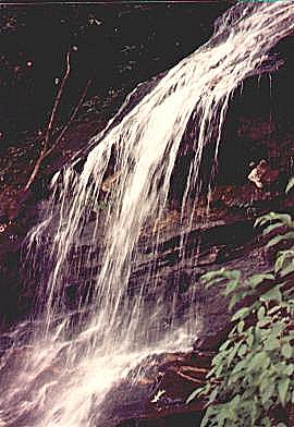 cascade1.jpg
The Cascades, located just inside Wilkes County's western border.  Photo by Jeff Weaver, 1990.  Some of you might like to read the [url=http://www.lulu.com/content/96369] Elisha Mitchell's Diary of a Geological Tour of Ashe, Wilkes and Surry County, North Carolina[/url]
