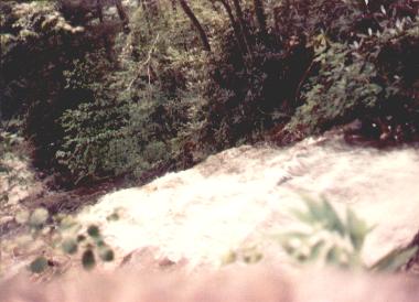 cascade2.jpg
The Cascades are located off the Blue Ridge Parkway, in Wilkes County, near the Ashe County line.  Photo by Jeff Weaver 1990.
