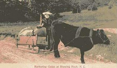 galaxatblowingrock.jpg
This is from an early 1900s postcard.
