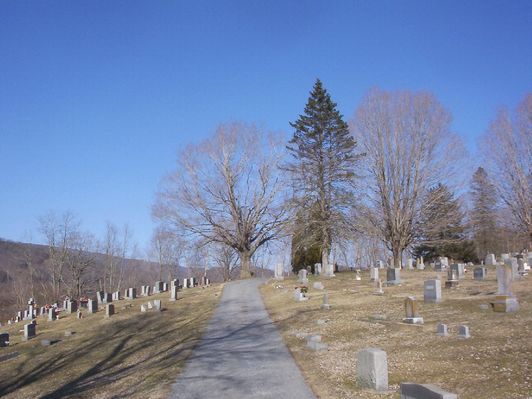 000_0051.jpg
General view of the newer part of Elizabeth Cemetery, Saltville, Virginia.
