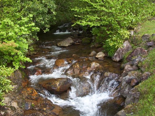 Helton Creek
This photograph was made in the summer of 2005 by Jeff Weaver, and shows Helton Creek near its headwaters on Whitetop Mountain.  It was reported that there was gold found in these creeks in 1897.  You can read about it in C. R. Boyd's 1897 book on [url=http://www.lulu.com/content/95550]Grayson County Geology[/url]
