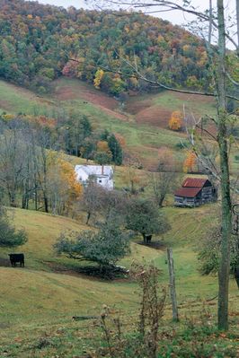 Roberts' Cove - Roberts' Cove
Fall in Grayson County Virginia.  Photo by Rich Ballard
