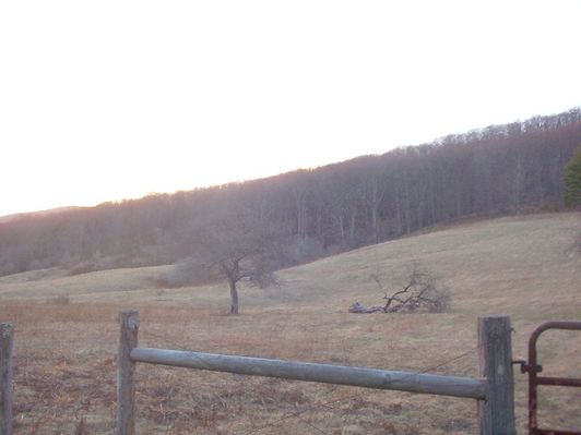 100_1262.jpg
This is a field at the Grayson-Smyth County line on Fairwood road.  Photo March 12, 2006 6:10 p.m.
