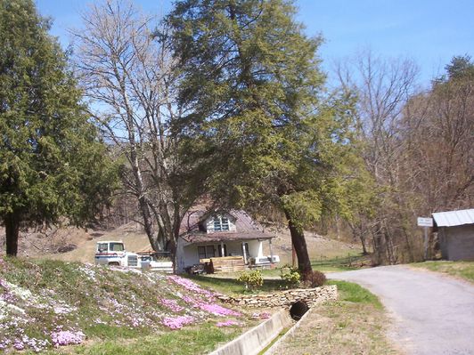 100_1409.jpg
House at the head of the Pump Log Hollow.  Photo by Jeff Weaver, April 2, 2006.
