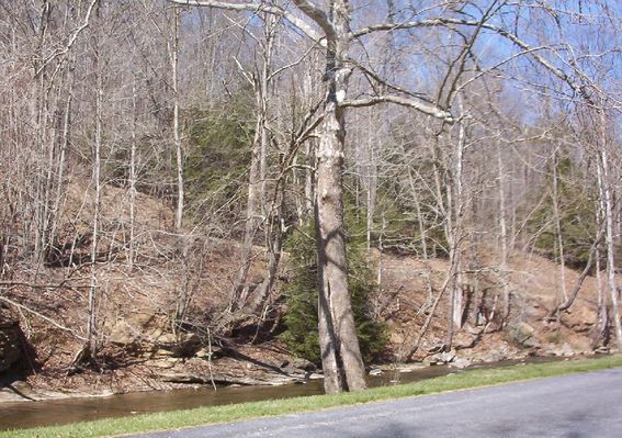 100_1424.jpg
This shot of the North Fork of Holston River was taken near its source.  Photo April 2, 2006 by Jeff Weaver
