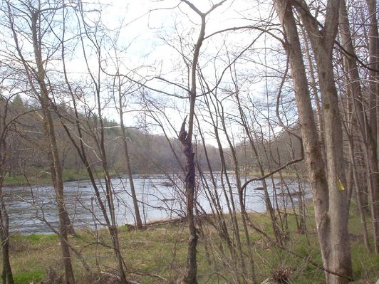 100_1571.jpg
This view of New River is looking south back into Ashe County from the sliver of Alleghany County west of New River.  Photo by Jeff Weaver, April 16, 2006.
