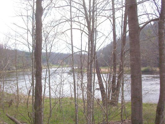 100_1572.jpg
This view was taken from the sliver of Alleghany County, NC west of New River.  This view of the river is looking north toward Mouth of Wilson, VA.  Photo by Jeff Weaver, April 16, 2006.
