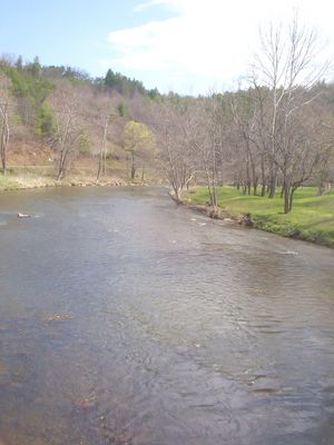 100_1577.jpg
This view of the North Fork of New River was taken looking north from the Weaver's Ford Bridge.  Photo by Jeff Weaver, April 16, 2006.
