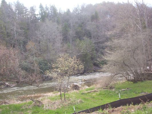 100_1580.jpg
OK, its not much of a falls, more like rapids, but it is called the Falls of the North Fork.  Photo by Jeff Weaver, April 16, 2006.
