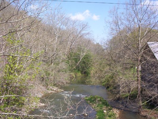 100_1631.jpg
This is the view of the Middle Fork of the Holston River from Old Ebenezer Road, south of Marion.  Photo April 23, 2006 by Jeff Weaver.
