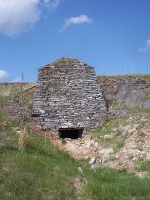 100_1644.jpg
This Lime Kiln was photographed on April 23, 2006 by Jeff Weaver.  In order to produce lime for agricultural use, limestone was dumped into the top of the furnance and heated.  A troll car ran in the enterance at the bottom and pulled out when sufficiently broken down limestone was produced.  It was then transferred to wagons and hauled to where needed.  This faciility was last used in the 1920s.  Information courtesy of Jesse Choate.
