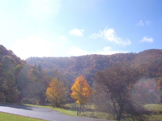 Whitetop - Fall Scene
This photo was taken October 18, 2006 by Jeff Weaver from the gounds of Faith Lutheran Church looking south.
