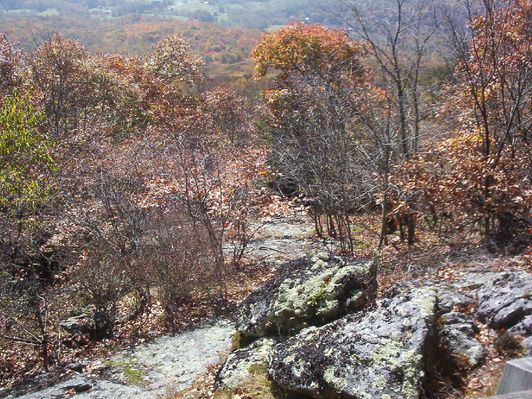 100_1753.jpg
This photo shows some of the rock formations at Massie Gap on Haw Orchard Mountain.  Photo by Jeff Weaver, October 18, 2006.
