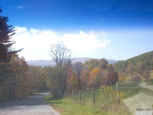 100_1766.jpg
This is a view of Pine Mountain taken from Razor Ridge Road, October 18, 2006 by Jeff Weaver.
