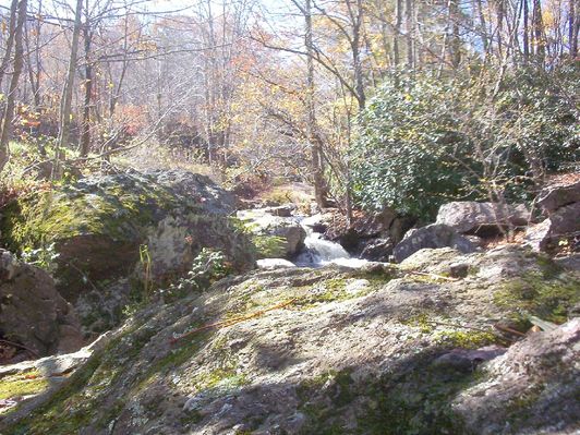 100_1773.jpg
This October 18, 2006 photo by Jeff Weaver shows a small water fall on Fox Creek.  
