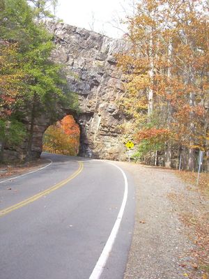 Razorback Ridge
This photo October 22, 2006 by Jeff Weaver.
