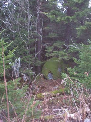 100_1913.jpg
Photo by Jeff Weaver, December 6, 2006.  These trees and rocks are just a few feet from the summit at 5560 feet.
