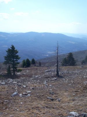 Whitetop - View to the South
This photo was taken 5:40 p.m., March 25, 2007by Jeff Weaver
