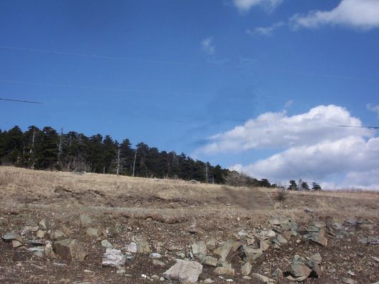 Whitetop - View of the Summit
This photo was taken March 25, 2007 by Jeff Weaver
