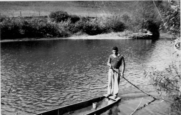 342.jpg
This is Albert Neaves poling a flat bottom boat on the North Fork of New River about 1946.
