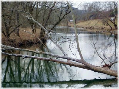 Brumley Gap - Sycamore Bridge
SYCAMORE BRIDGE  /  NORTH FORK OF HOLSTON  /  WASHINGTON CO., VA.  /   FEBRUARY 20, 2008   Courtesy of Don Smith [email]dsmith1-43@comcast.net[/email]

