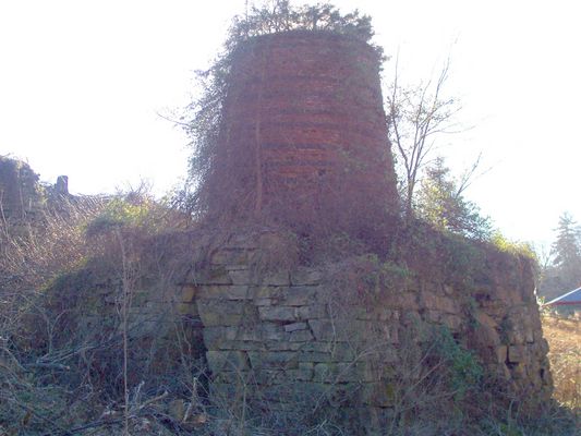 Barren Springs - Boone's Furnace
This furnace is located on Boone's Furnace Rd., Barren Springs, Wythe Co. VA.   Courtesy of David Arnold [email]david.arnold@adelphia.net[/email]
