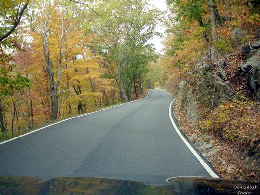 Corn Valley - Route 80
RT. 80 NORTH  /  RUSSELL COUNTY, VA.  /  "RICH MOUNTAIN" ON CLINCH  /  OCT.17, 2007  /  1:16 P.M.  Courtesy of Don Smith [email]dsmith1043@comcast.net[/email]
