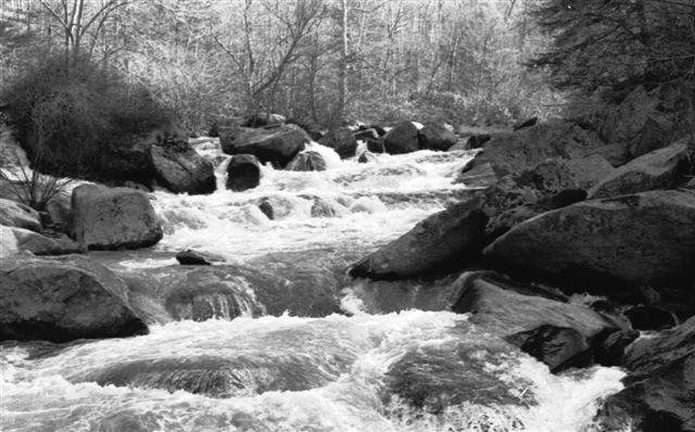 ClitoFallsfromneg..jpg
Historic site of Clito Mill & P.O. on the Elk Creek, Providence Dist., Fries, VA.  Courtesy of David Arnold.[email]david.arnold@adelphia.net[/email].
