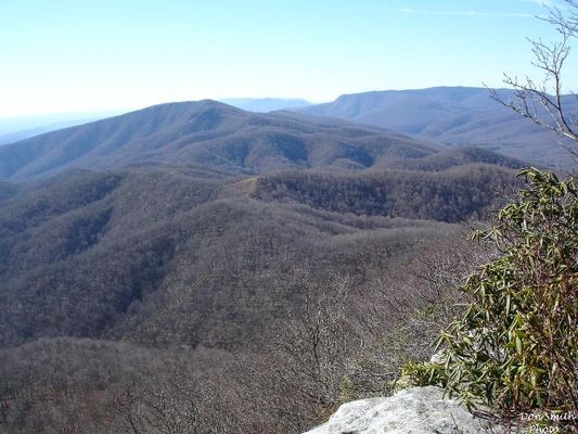 FLATTOP009.jpg
LOOKING WEST FROM THE WHITE ROCKS ON FLAT TOP MT. NEAR SALTVILLE, VA. / NOVEMBER 26, 2006.  Courtesy of Don Smith [email]dsmith1043@comcast.net[/email]
 
