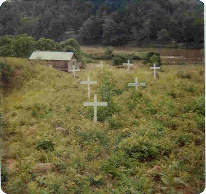 Francis_Sturgill_Cemetery1.jpg
General view of the Old Stugill Cemetery at King's Creek, courtesy of Harold Hash.
