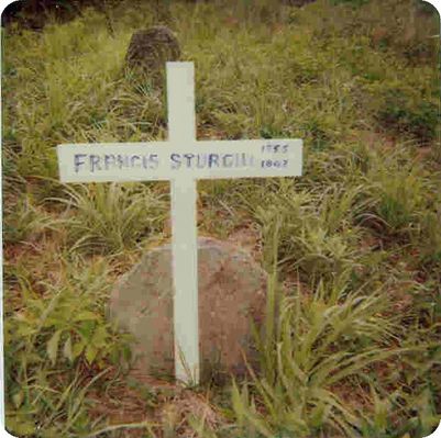 Francis_Sturgill_Cemetery2.jpg
Grave of Francis Sturgill, Sr.  Courtesy of Harold Hash.
