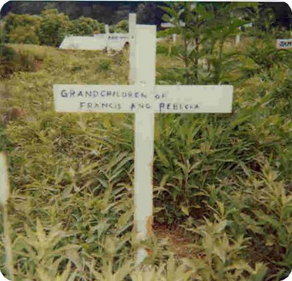 Francis_Sturgill_Cemetery4.jpg
This image shows the graves of Francis and Rebecca Hash Sturgill's grandchildren.  Courtesy of Harold Hash.
