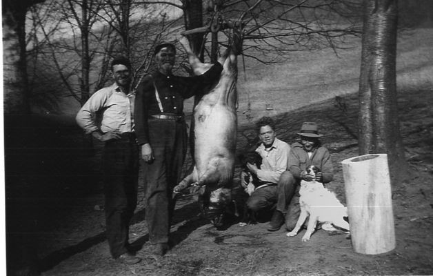 Hog_Killing_pic.jpg
Once upon a time, hog killing was an annual ritual for each family.  This photo shows such a scene.  Courtesy of Lonnie Jones.  [email]lonnie0809@skybest.com[/email].
