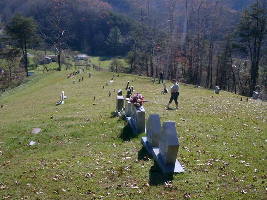 Kell Cemetery, Smyth County,Virginia
Kell cemetery, from the upper side.  It is MUCH steeper than it looks in this picture and when you get to the last stones at the bottom, there is a almost straight drop. The cemetery is on top of a hill. There is a pretty rough little rd that comes up to the foot but, we opted to walk up. 
Date Taken: November 06, 2004   Courtesy of Nanalee Wrenn

