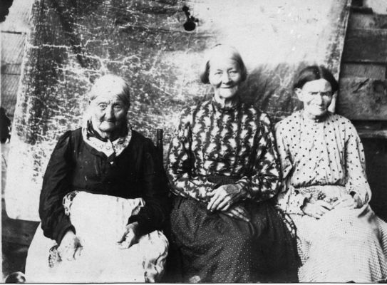 LizzyMahala(middle)~0.jpg
This is a picture that Gabrielle and Clarence Taylor might find interesting. The woman on the right is Nancy Taylor (Vanover), most likely the same Nancy Taylor that is in the picture that they submitted. I would like to contact them and exchange information.

Courtesy of Mark Lasnick [email]mlasnick@cableone.net[/email]
