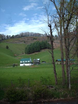 Picture 104.jpg
The cabin behind the white house was the home of Francis Sturgill, Jr. and Phebe Weaver.  Photo by Jeff Weaver, April 30, 2006.
