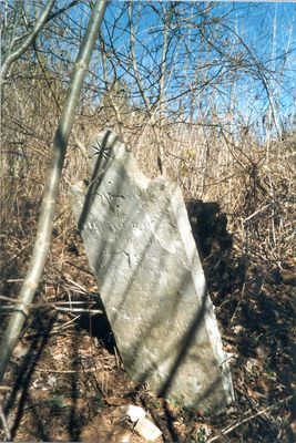 PostonCemSmythWmPoston1760-1823.jpg
Grave marker for William Poston 1760-1823.  Courtesy of Jack Hockett [email]tlas101@aol.com[/email]
