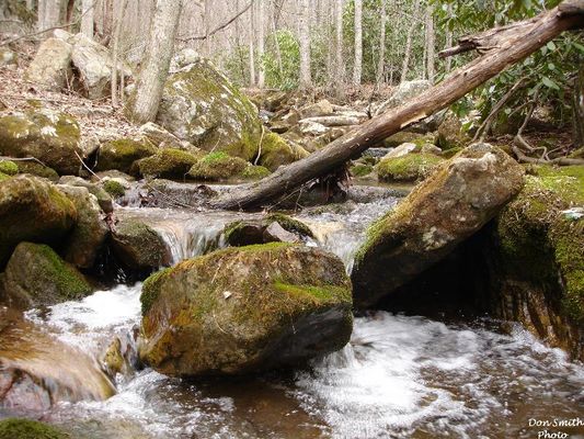 PostonPlace070.jpg
LITTLE TUMBLING COVE CREEK / CLINCH MOUNTAIN / NEAR SALTVILLE, VA. / MARCH 13, 2007.  Courtesy Of Don Smith[email]dsmith1043@comcast.net[/email]

 
