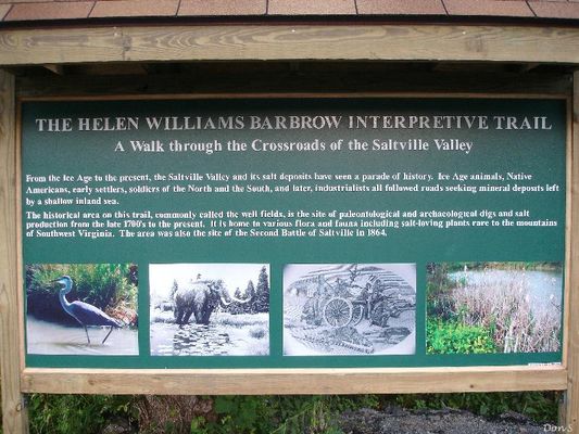 Saltville - Helen Williams Barbrow Sign
HELEN WILLIAMS BARBROW SIGN  /  WELL FIELDS  /  SALTVILLE, VA.  /  JULY 13, 2007.  Courtesy of Don Smith [email]dsmith1043@comcast.net[/email]
