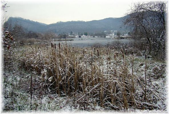 Saltville - Well Fields
WELL FIELDS  /  SALTVILLE, VA.  /  DECEMBER 5, 2007  /  10:48 A.M.  Courtesy of Don Smith [email]dsmith1043@comcast.net[/email]

 

