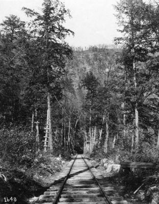 abingdonbranch1.jpg
Another scenic view from the 1920s probably near Damascus.
