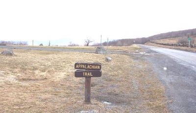 View of the Appalachian Trail near the Grayson Smyth County Line at Route 600
