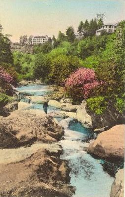 bannerelkfishing.jpg
This image was made in 1941 and shows a man fishing in the rapids of the Elk River.
