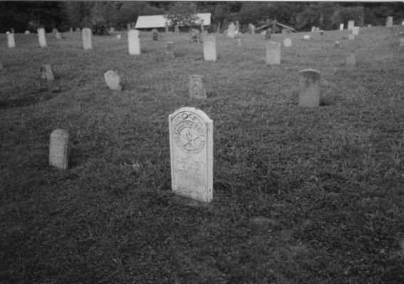 baptistchapelcem.jpg
This is a general view of the cemetery at Baptist Chapel Church.  The stone in the foreground is for Alice P. Phipps.  Photo by Jeff Weaver, June 1978,
