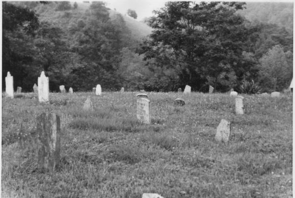 baptistchapelcem2.jpg
Another view of the Baptist Chapel Church Cemetery.  Photo by Jeff Weaver, June 1978.
