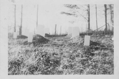 Grassy Creek - David Blevins Cemetery
This photo dates from the 1940s.
