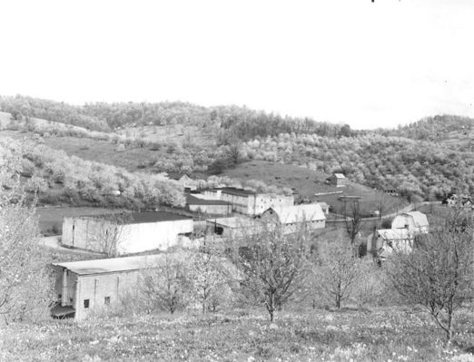 bonhambros.jpg
This mid-20th century view shows the orchards and packing houses of Bonham Brothers Orchards.
