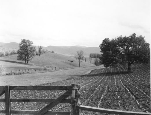 bonhamfarm.jpg
From a 1950 photograph.
