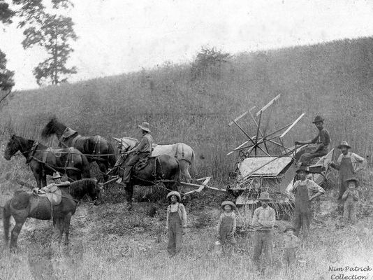 Broadford - Harvest Time
BROADFORD, VIRGINIA  /  1914


RYBURN PATRICK ON HORSEBACK  /  CHARLIE HARRIS ON MACHINE  /  JOE ROBERTS WITH HORSE 
PRESS HOOSIER AND THREE HOOSIER BOYS  /  BILL MASH  /  JIM PATRICK  /  JIM FRENCH
 
PHOTO COURTESY NIM PATRICK.  Courtesy of Don Smith [email]dsmith1043@comcast.net[/email]
