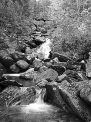 cabincrkfallsupper.jpg
This falls is in the Grayson Highlands State Park.
